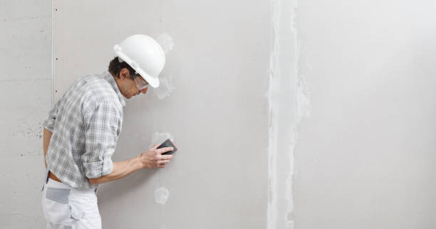 Best Drywall Removal and Disposal  in Terrace Park, OH